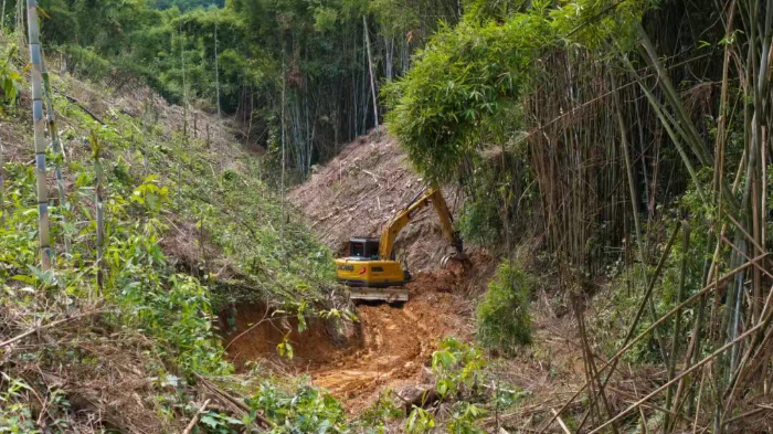 林间“藏龙”，竹海“卧虎”——皇冠welcome官网林业挖机广西侠客行